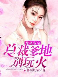 双宝来袭，总裁爹地追妻忙,总裁爹地火力全开，追妻之路笑料百出