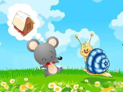 蜗牛之家,探寻温馨小屋中的生活哲学