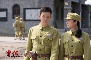 黑狐之风影,暗夜猎手的神秘传奇