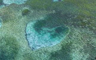 行至爱意消散处2025,行至爱意消散处的情感旅程